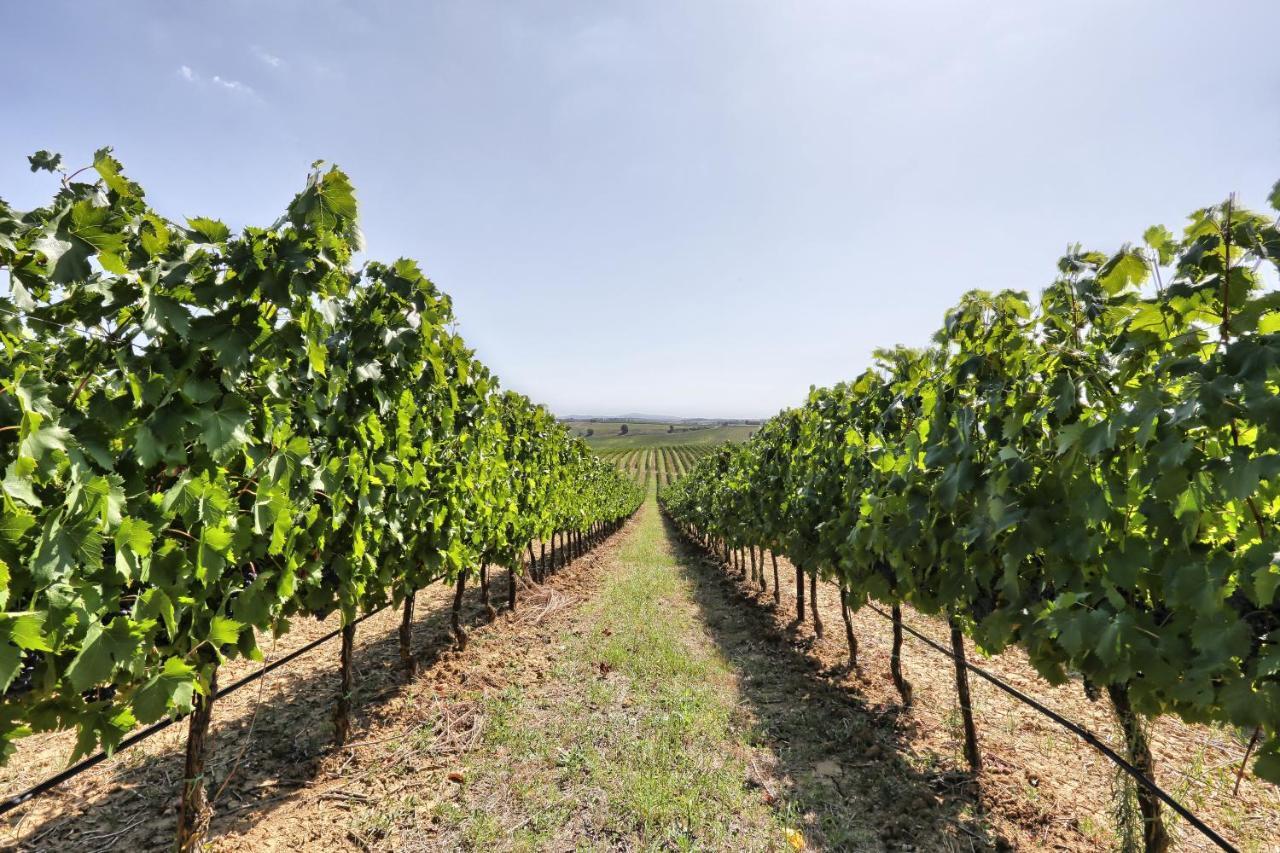 Agriturismo Terra Rossa Valiano المظهر الخارجي الصورة